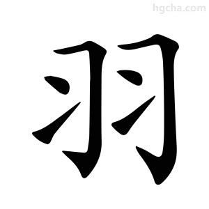 羽 字|羽（汉语文字）